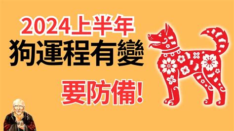 1970屬狗2024運勢每月|【2024狗年運程1970】2024狗年運程！1970年屬狗人運勢解析